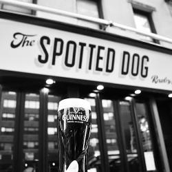 Restaurants The Spotted Dog in New York NY