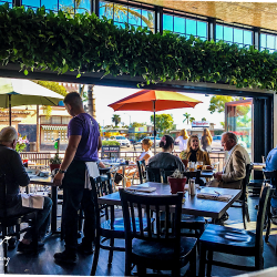 Restaurants Harley Gray Kitchen & Bar in San Diego CA